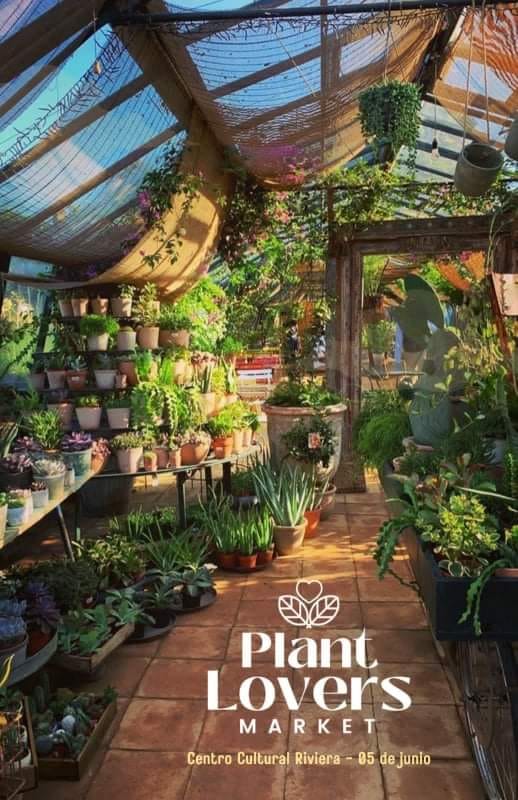 Plant Lovers Market edición Ensenada
